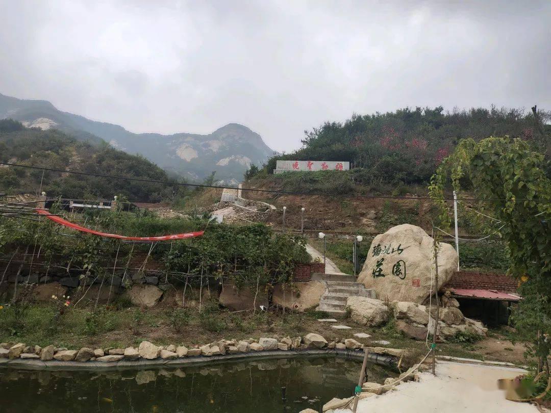 红烧参子鱼