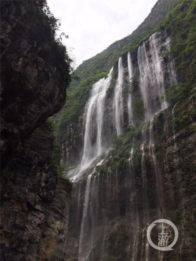 奥莉的夏威夷之旅